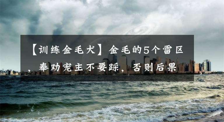 【訓(xùn)練金毛犬】金毛的5個雷區(qū)，奉勸寵主不要踩，否則后果很嚴(yán)重