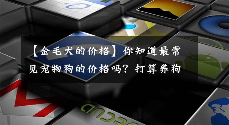 【金毛犬的價(jià)格】你知道最常見(jiàn)寵物狗的價(jià)格嗎？打算養(yǎng)狗的不要買(mǎi)貴了