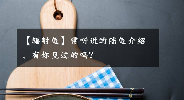 【輻射龜】常聽說(shuō)的陸龜介紹，有你見過(guò)的嗎？