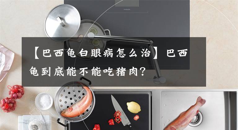 【巴西龜白眼病怎么治】巴西龜?shù)降啄懿荒艹载i肉？