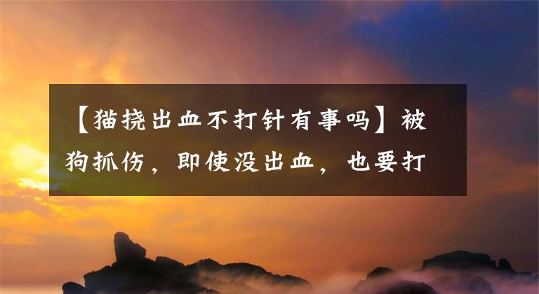 【貓撓出血不打針有事嗎】被狗抓傷，即使沒出血，也要打狂犬病疫苗！