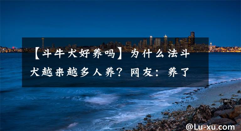 【斗牛犬好養(yǎng)嗎】為什么法斗犬越來越多人養(yǎng)？網(wǎng)友：養(yǎng)了才知道“真香”