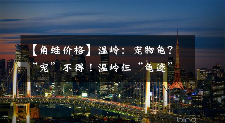 【角蛙價格】溫嶺：寵物龜？“寵”不得！溫嶺仨“龜迷”因買瀕危野生動物涉刑！