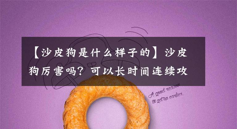 【沙皮狗是什么樣子的】沙皮狗厲害嗎？可以長時間連續(xù)攻擊。