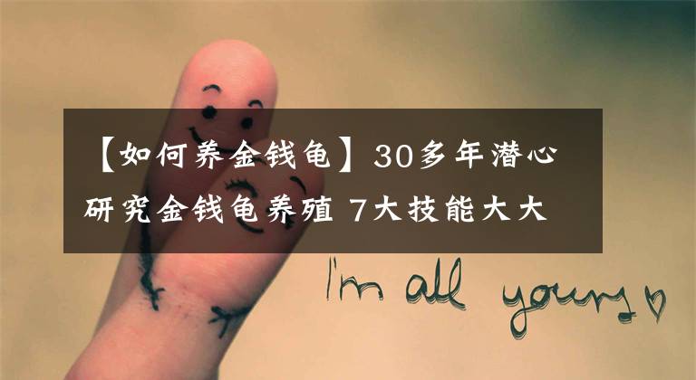 【如何養(yǎng)金錢龜】30多年潛心研究金錢龜養(yǎng)殖 7大技能大大提高孵化率