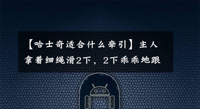 【哈士奇適合什么牽引】主人拿著細(xì)繩滑2下，2下乖乖地跟在主人身邊，2下：不要學(xué)我主人