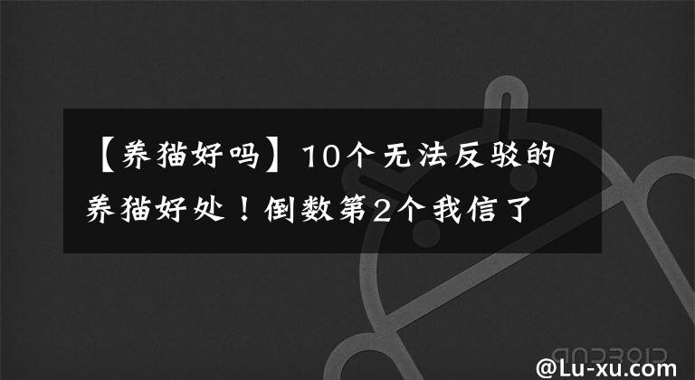 【養(yǎng)貓好嗎】10個無法反駁的養(yǎng)貓好處！倒數(shù)第2個我信了