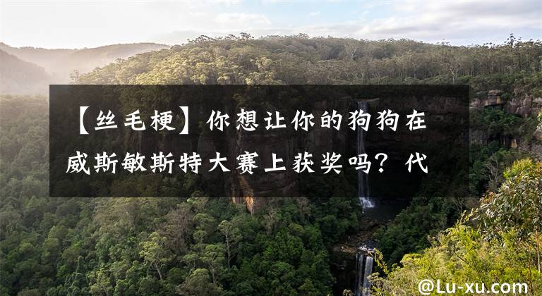 【絲毛?！磕阆胱屇愕墓饭吩谕姑羲固卮筚惿汐@獎嗎？代價可能是狗狗的尾巴