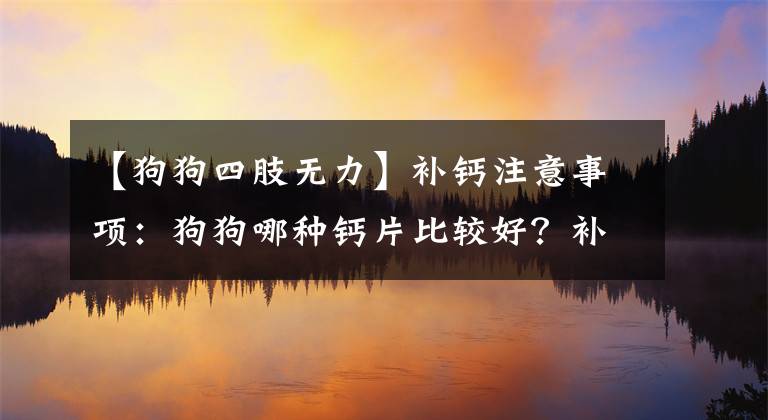 【狗狗四肢無力】補(bǔ)鈣注意事項(xiàng)：狗狗哪種鈣片比較好？補(bǔ)充的速度會比較快？