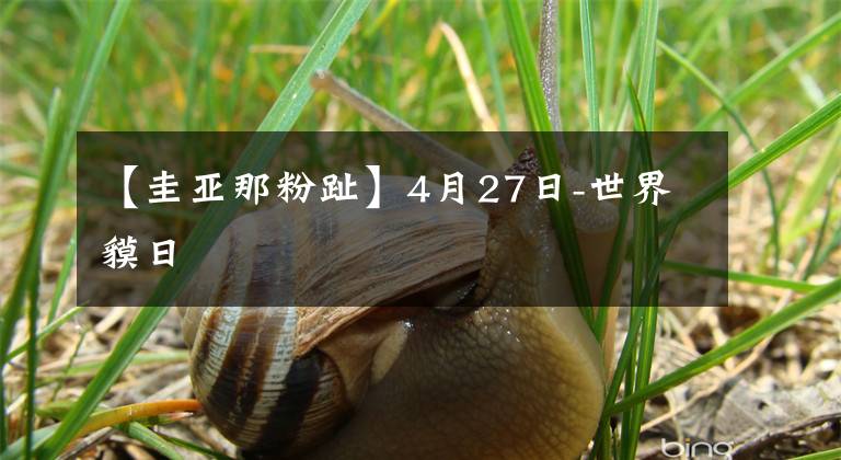 【圭亞那粉趾】4月27日-世界貘日