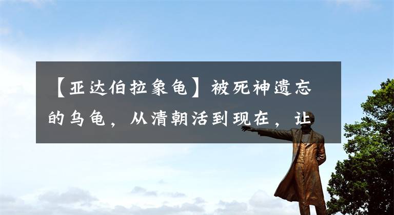 【亞達(dá)伯拉象龜】被死神遺忘的烏龜，從清朝活到現(xiàn)在，讓無數(shù)人羨慕不已