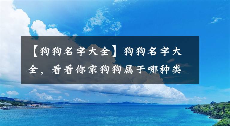 【狗狗名字大全】狗狗名字大全，看看你家狗狗屬于哪種類型