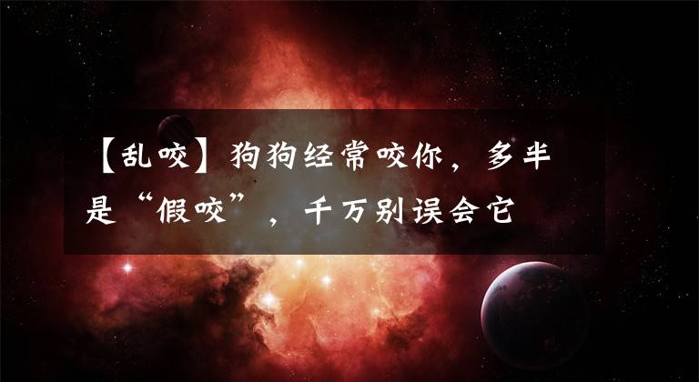 【亂咬】狗狗經(jīng)常咬你，多半是“假咬”，千萬(wàn)別誤會(huì)它