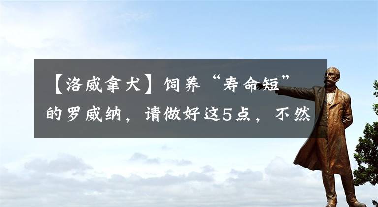 【洛威拿犬】飼養(yǎng)“壽命短”的羅威納，請做好這5點，不然別養(yǎng)