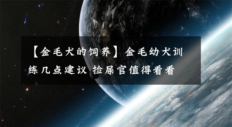 【金毛犬的飼養(yǎng)】金毛幼犬訓(xùn)練幾點建議 撿屎官值得看看