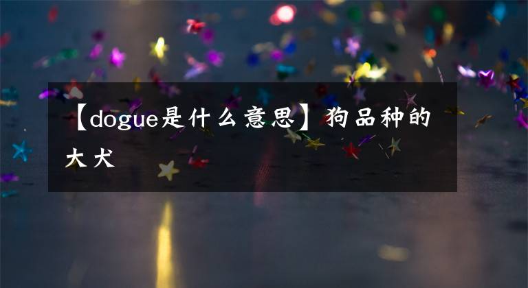 【dogue是什么意思】狗品種的大犬