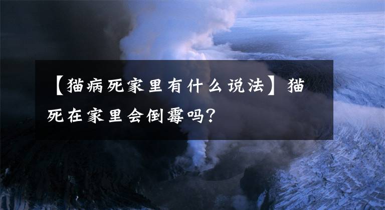 【貓病死家里有什么說法】貓死在家里會倒霉嗎？