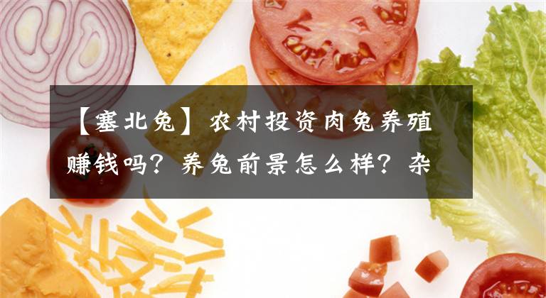 【塞北兔】農(nóng)村投資肉兔養(yǎng)殖賺錢嗎？養(yǎng)兔前景怎么樣？雜交野兔一只利潤多少？創(chuàng)業(yè)人也好關(guān)心的問題