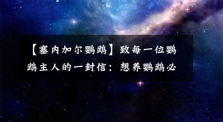 【塞內(nèi)加爾鸚鵡】致每一位鸚鵡主人的一封信：想養(yǎng)鸚鵡必看的一篇文章｜總結(jié)十年