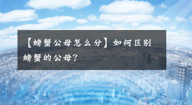 【螃蟹公母怎么分】如何區(qū)別螃蟹的公母？