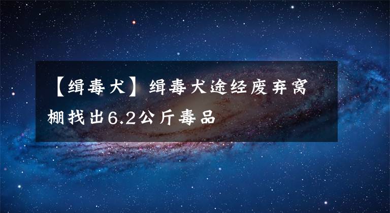 【緝毒犬】緝毒犬途經(jīng)廢棄窩棚找出6.2公斤毒品