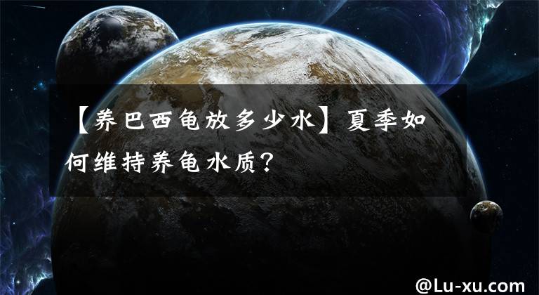 【養(yǎng)巴西龜放多少水】夏季如何維持養(yǎng)龜水質？