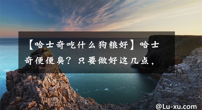 【哈士奇吃什么狗糧好】哈士奇便便臭？只要做好這幾點，便便馬上就不臭了