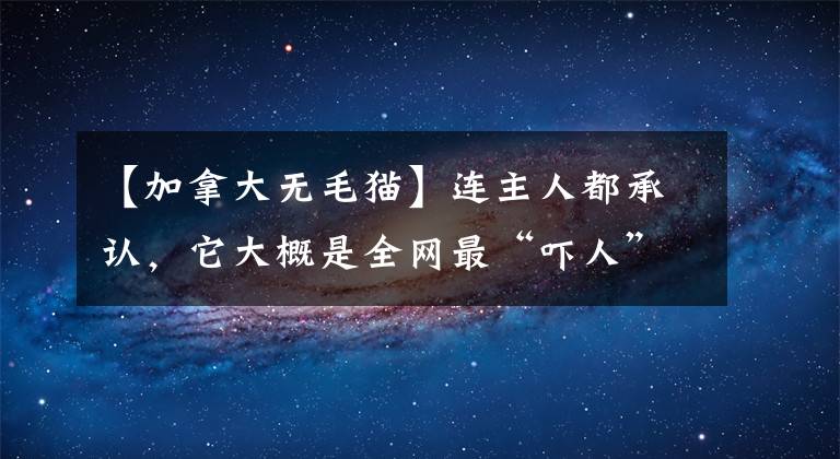 【加拿大無毛貓】連主人都承認(rèn)，它大概是全網(wǎng)最“嚇人”的無毛貓了