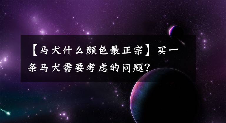 【馬犬什么顏色最正宗】買一條馬犬需要考慮的問題？