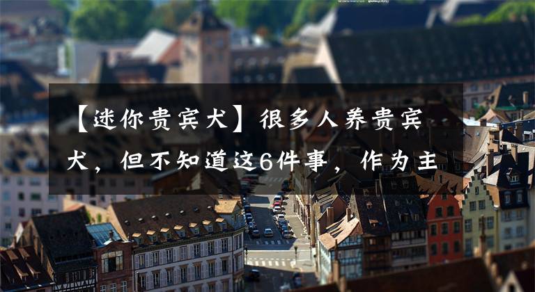 【迷你貴賓犬】很多人養(yǎng)貴賓犬，但不知道這6件事，作為主人你知道嗎？