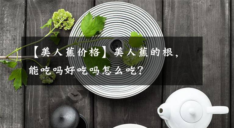 【美人蕉價格】美人蕉的根，能吃嗎好吃嗎怎么吃？