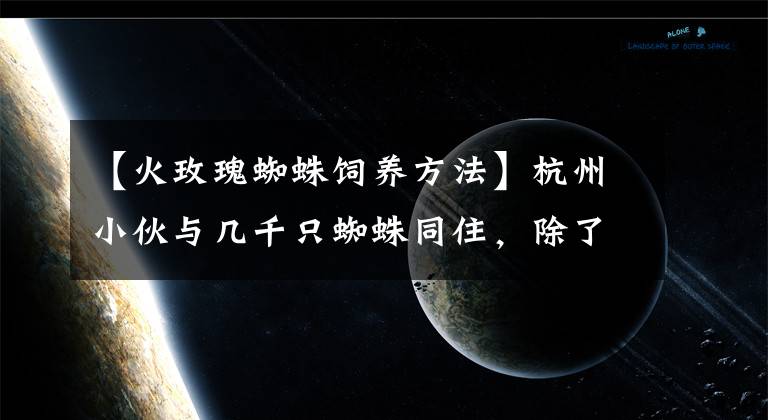 【火玫瑰蜘蛛飼養(yǎng)方法】杭州小伙與幾千只蜘蛛同住，除了床上到處爬滿！鄰居受不了報(bào)警，一開(kāi)門頭皮發(fā)麻...