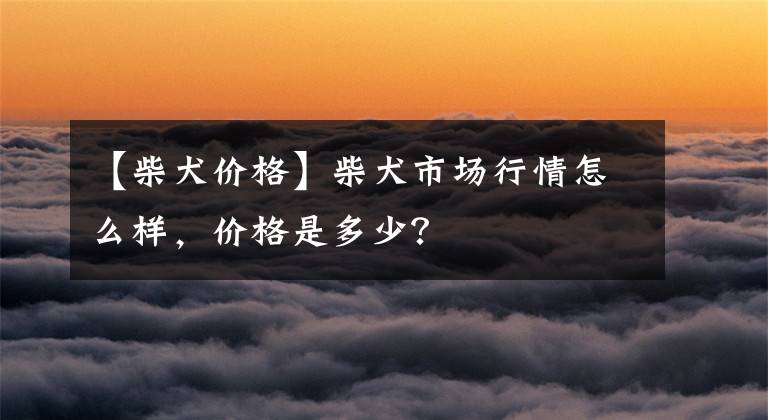 【柴犬價格】柴犬市場行情怎么樣，價格是多少？