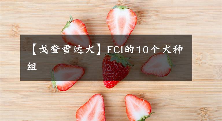 【戈登雪達(dá)犬】FCI的10個(gè)犬種組