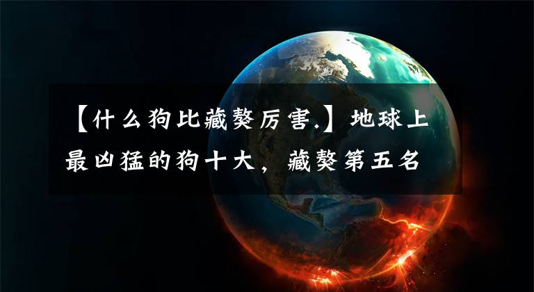 【什么狗比藏獒厲害.】地球上最兇猛的狗十大，藏獒第五名，高加索狗第四名，第一名真的很了不起。