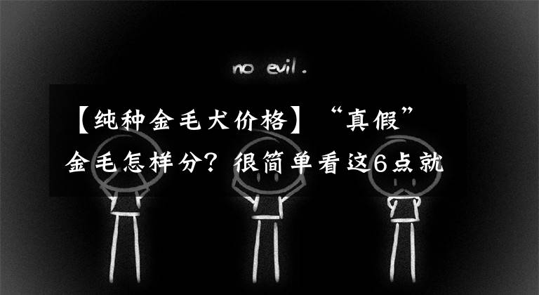 【純種金毛犬價(jià)格】“真假”金毛怎樣分？很簡(jiǎn)單看這6點(diǎn)就行！