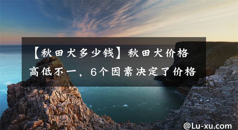 【秋田犬多少錢(qián)】秋田犬價(jià)格高低不一，6個(gè)因素決定了價(jià)格，你家的值不值這個(gè)價(jià)？