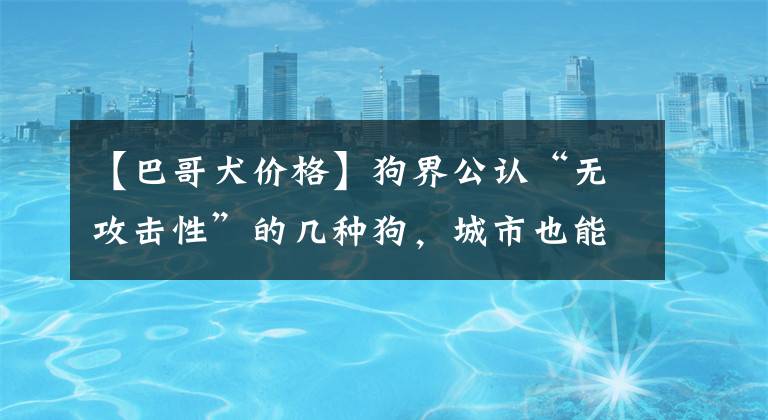 【巴哥犬價格】狗界公認“無攻擊性”的幾種狗，城市也能放心養(yǎng)