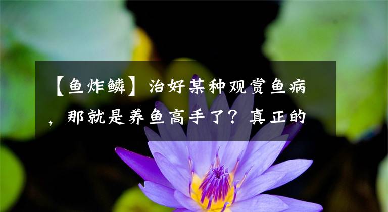 【魚炸鱗】治好某種觀賞魚病，那就是養(yǎng)魚高手了？真正的高手應(yīng)該一通百通