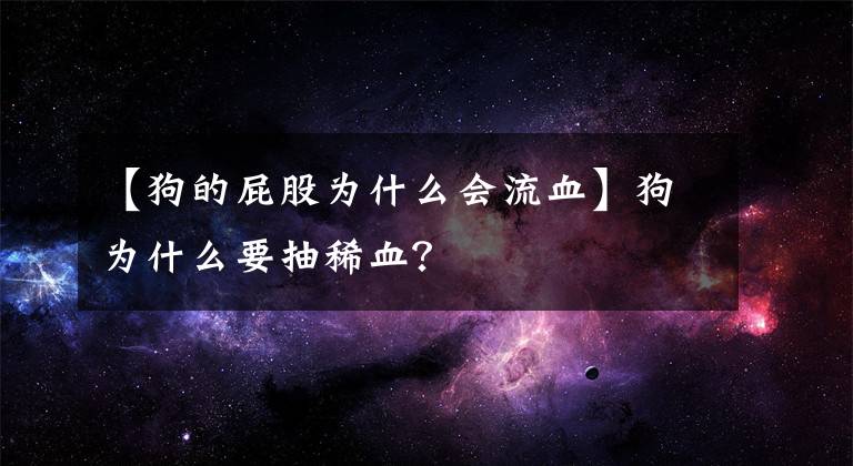 【狗的屁股為什么會(huì)流血】狗為什么要抽稀血？