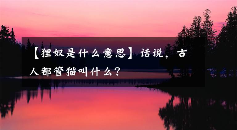 【貍奴是什么意思】話說，古人都管貓叫什么？