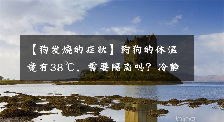 【狗發(fā)燒的癥狀】狗狗的體溫竟有38℃，需要隔離嗎？冷靜點，這是狗狗正常體溫