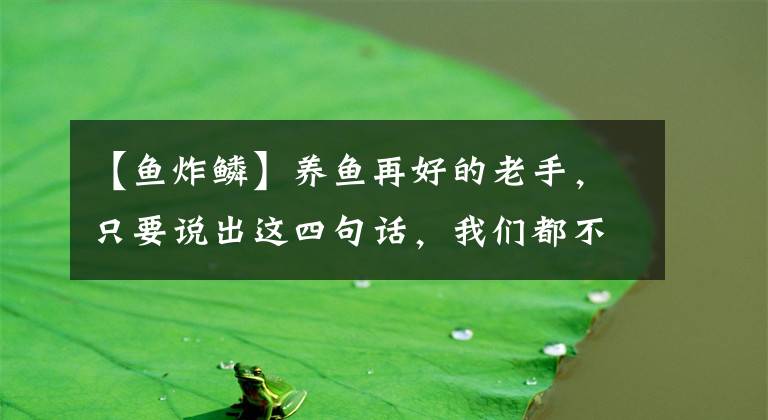 【魚炸鱗】養(yǎng)魚再好的老手，只要說出這四句話，我們都不要輕易相信