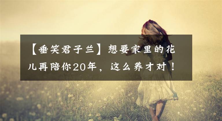 【垂笑君子蘭】想要家里的花兒再陪你20年，這么養(yǎng)才對！