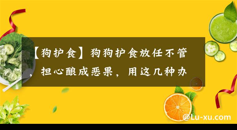 【狗護(hù)食】狗狗護(hù)食放任不管，擔(dān)心釀成惡果，用這幾種辦法讓狗狗改正壞習(xí)慣