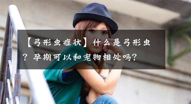 【弓形蟲癥狀】什么是弓形蟲？孕期可以和寵物相處嗎？