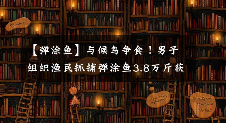 【彈涂魚】與候鳥(niǎo)爭(zhēng)食！男子組織漁民抓捕彈涂魚3.8萬(wàn)斤獲刑2年