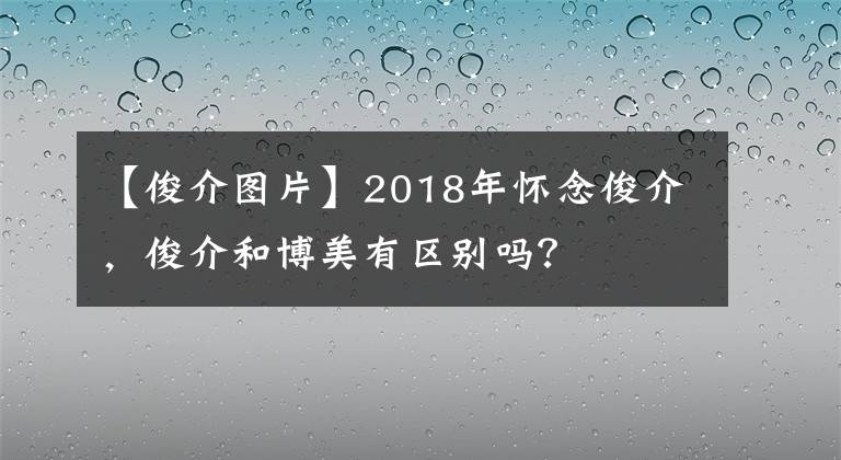 【俊介圖片】2018年懷念俊介，俊介和博美有區(qū)別嗎？