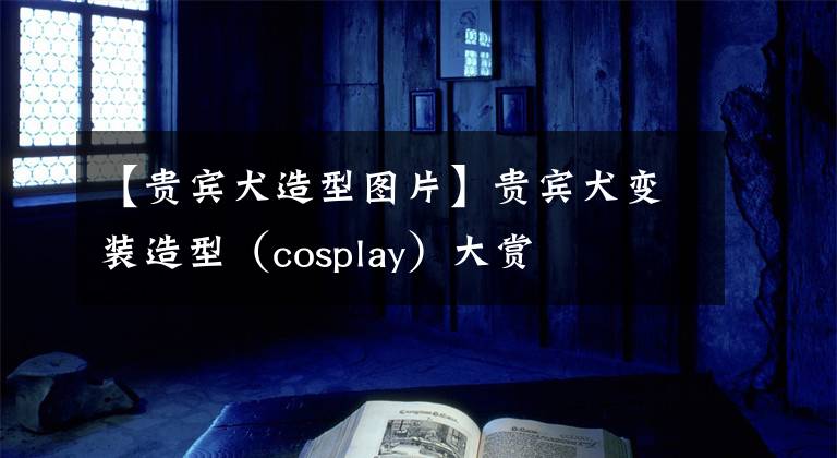 【貴賓犬造型圖片】貴賓犬變裝造型（cosplay）大賞