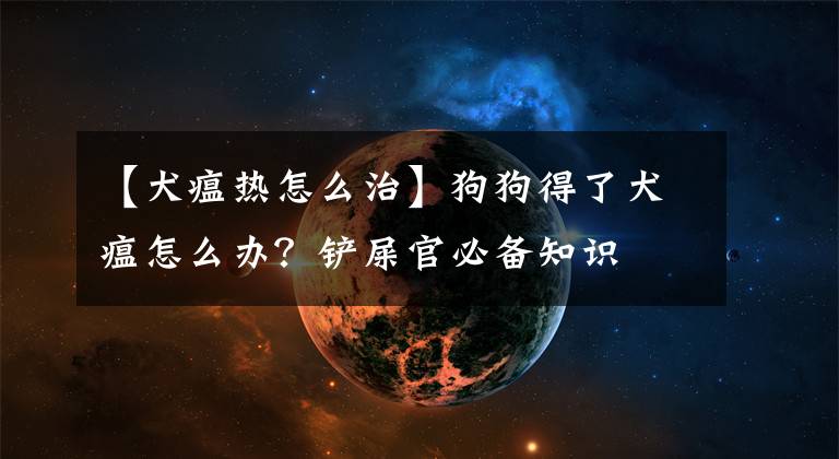 【犬瘟熱怎么治】狗狗得了犬瘟怎么辦？鏟屎官必備知識